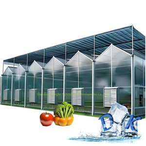 8mm/ 10mm Used Polycarbonate Greenhouse Commercial Multi Span Single Span PC Sheet Greenhouse for Sale