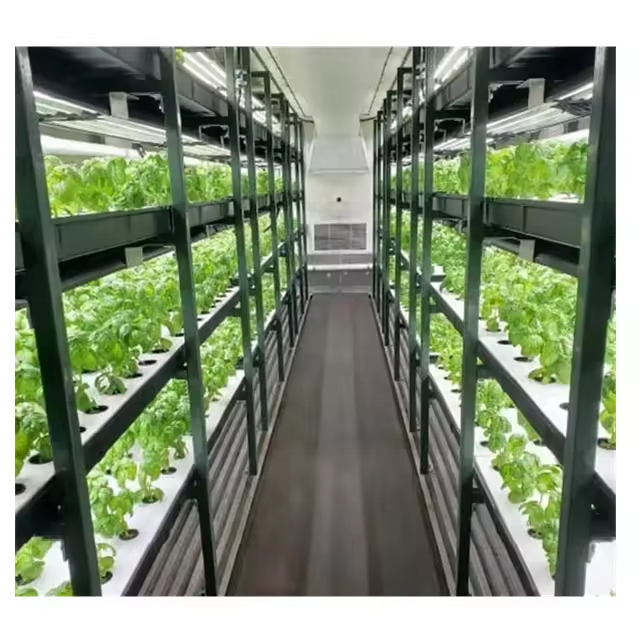 Hot Selling New Procurement Festival Hydroponic Growing Systems Container Greenhouse Shipping Container Farm for Sale