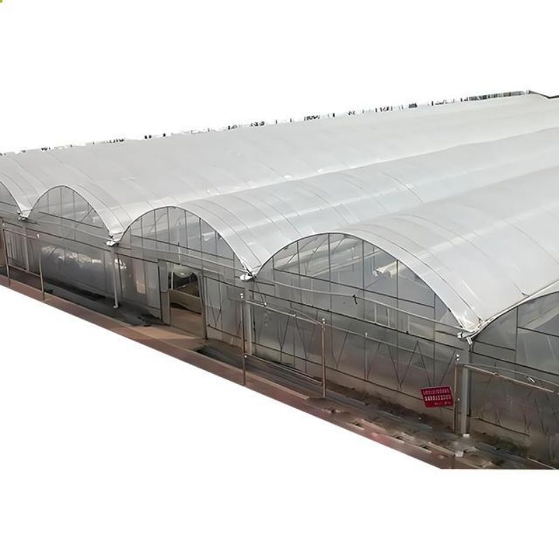 Multi Span Film Green House Greenhouse Structure Commercial Used Greenhouse Frames Commercial Film Greenhouse For Sale