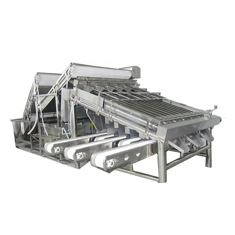 Seafood process equipment shrimp washing grading machine automatic shrimp sorting machine