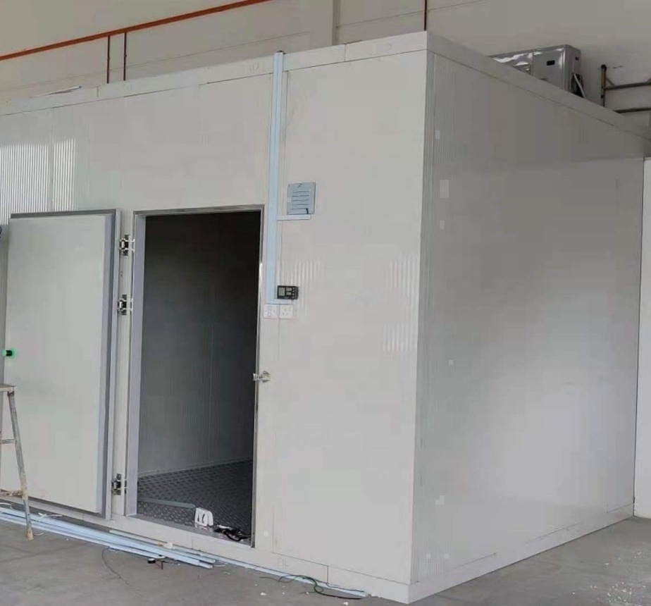 Commercial Solar Power Frozen Chicken Feet Frozen Cold Room Trailer Supermarket Cold Storage Board For Potato Chocolate