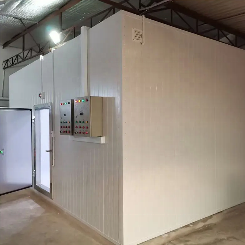 Cold room freezer compressor refrigerator unit cold storage with PIR PUR Panel