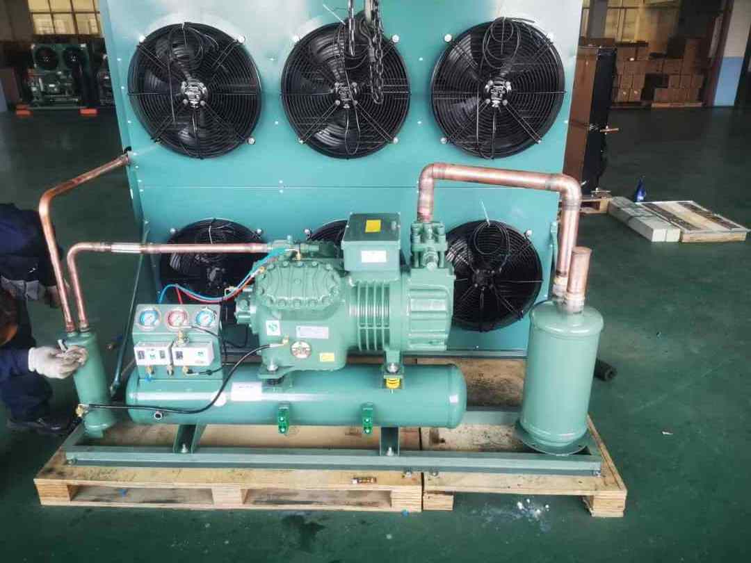 Cold Room Compressor Refrigeration Equipment R404 Freon Refrigerant Freezer Compressor Condensing Unit