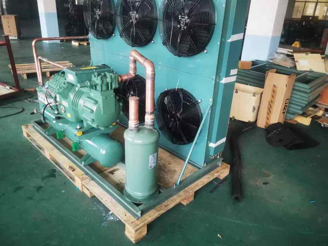 Cold Room Compressor Refrigeration Equipment R404 Freon Refrigerant Freezer Compressor Condensing Unit