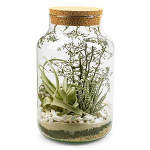 clear Glass Jars for Terrariums Glass Plant Terrariums for Sale Wedding Tabletop Vase Home Decoration