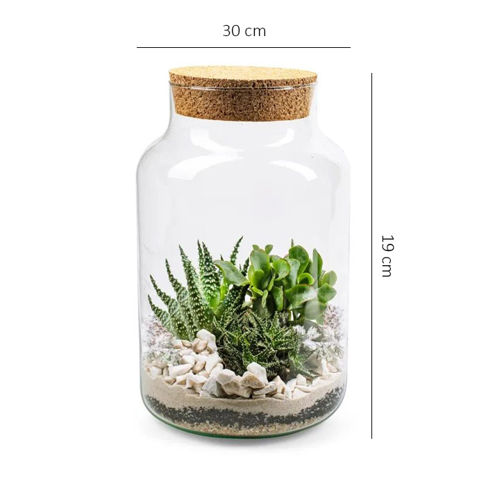 clear Glass Jars for Terrariums Glass Plant Terrariums for Sale Wedding Tabletop Vase Home Decoration