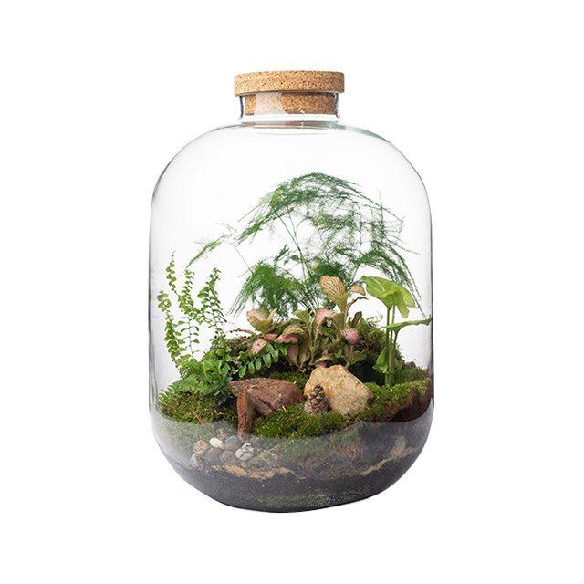 Terrarium Hydroponic Plant Cylinder Vase Moss Terrarium Home Decor Tabletop DIY Forest Planter Glass with Lid for Indoor