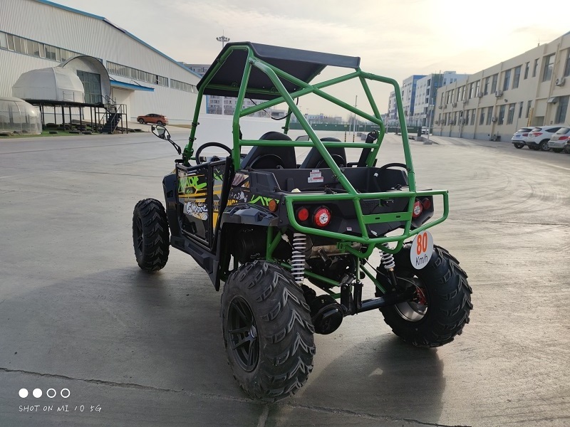 EEC5 EFI street legal Fangpower 300cc 400cc gas adults vehicles side by side 4x2 4x4 go kart atv ssv utv buggy