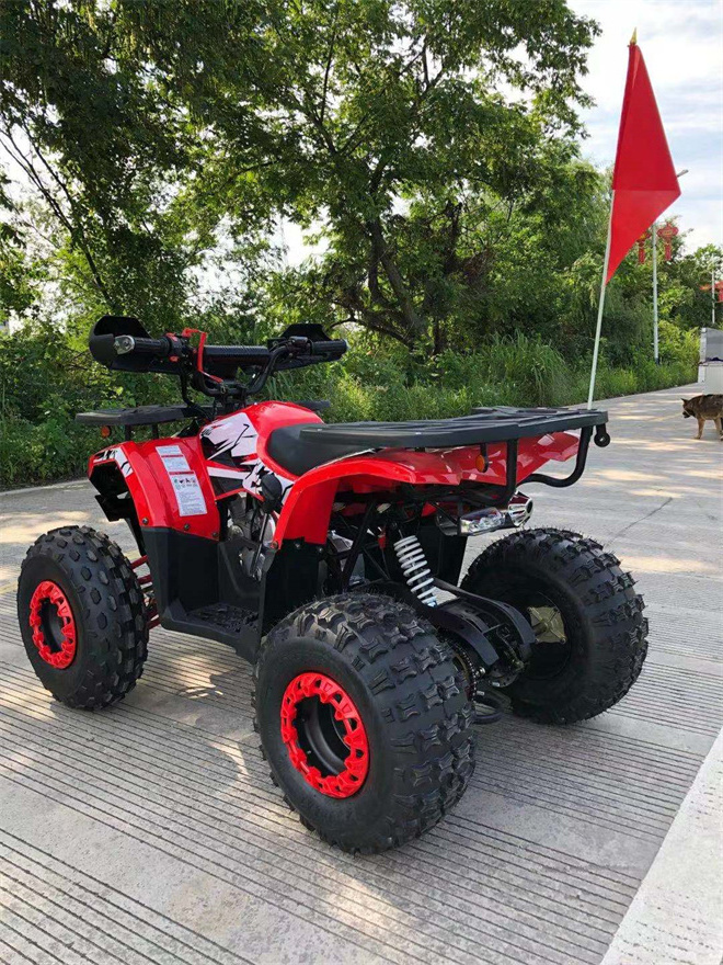 Chinese Cheap Price 125cc Mini Kids Quad ATV Dirt Bike Quad for Sale