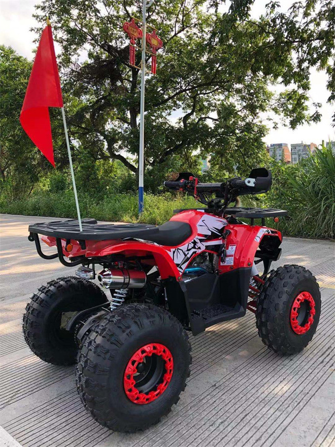 Chinese Cheap Price 125cc Mini Kids Quad ATV Dirt Bike Quad for Sale