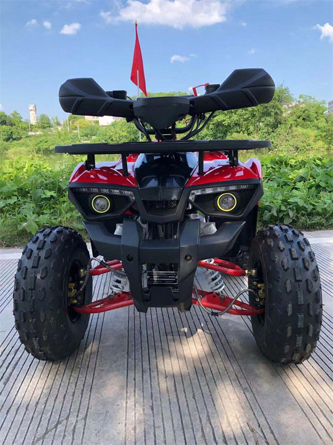 Chinese Cheap Price 125cc Mini Kids Quad ATV Dirt Bike Quad for Sale