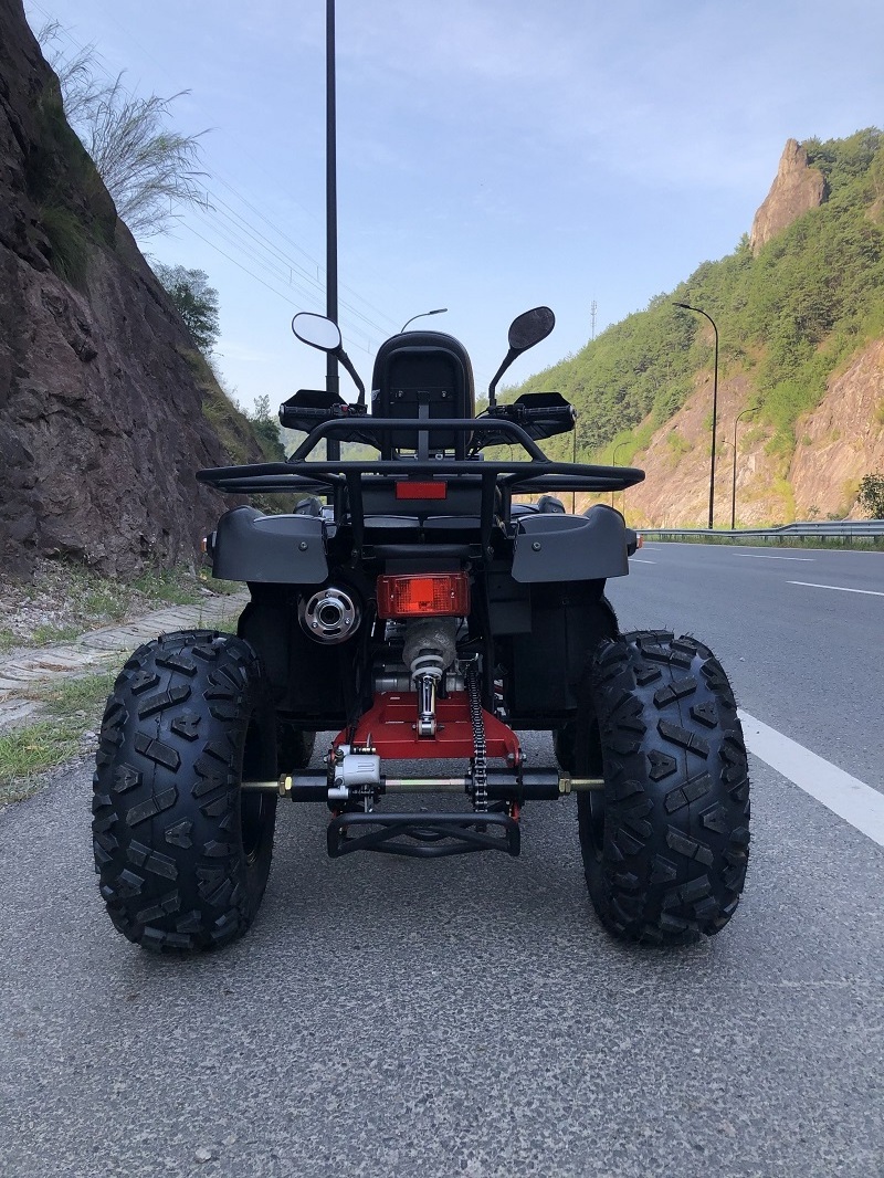 150cc 200cc ATV atv 4x4 4x2 adult motorcycle 4 wheels quad bike with CE