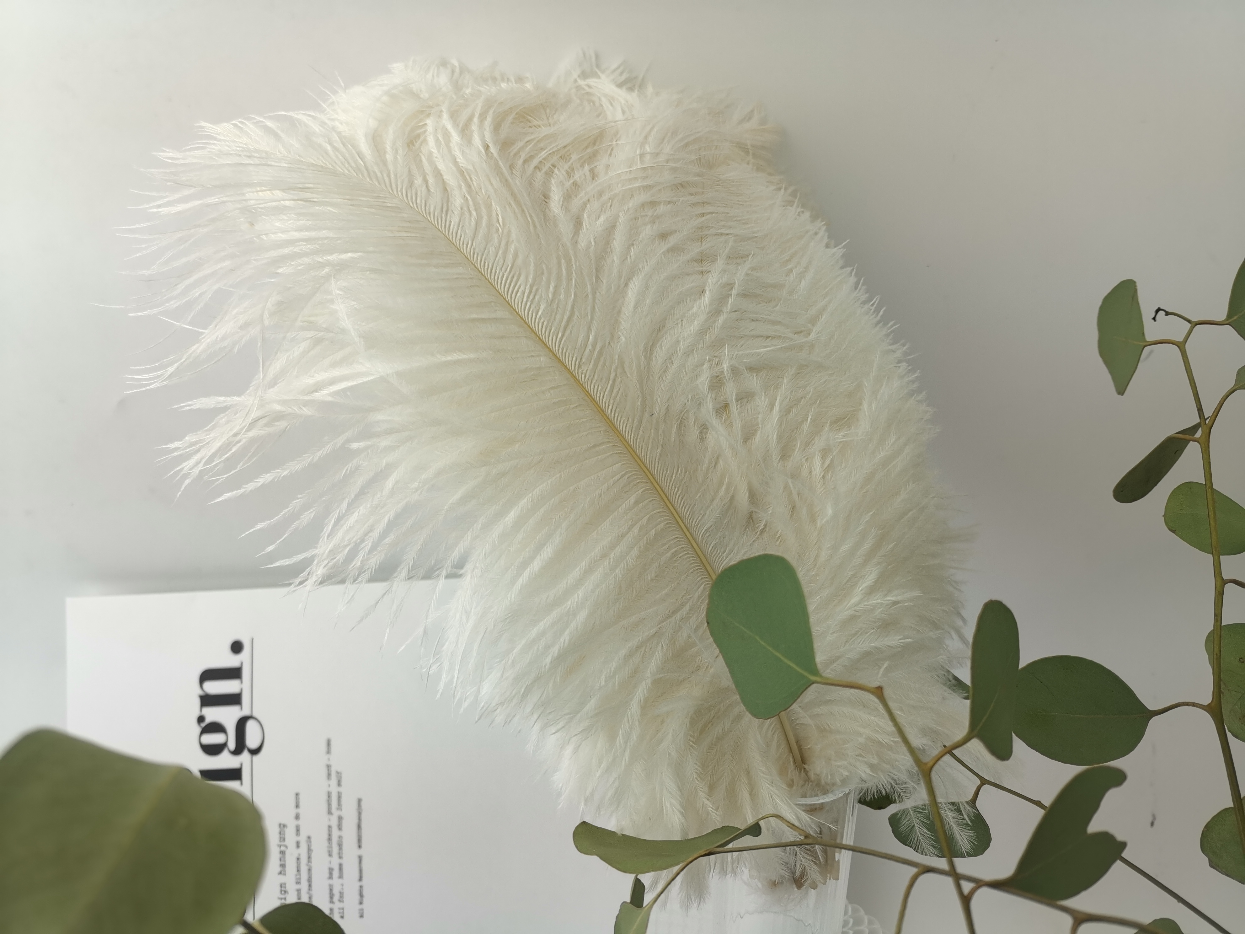 wholesale 15-60 Drab Ostrich Feathers for Centerpieces Party Wedding Home Decorations Dream Catchers Vases Crafts Christmas Tree