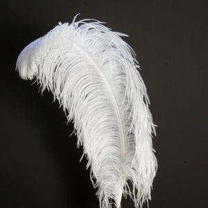 Wholesale Decorative White Ostrich Plumes Feathers for Wedding Centerpieces