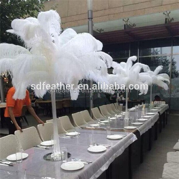 Feather Factory 40-75 cm Handcraft Different Sizes Ostrich Feathers High Quality Feathers For Centerpieces Wedding Decoration