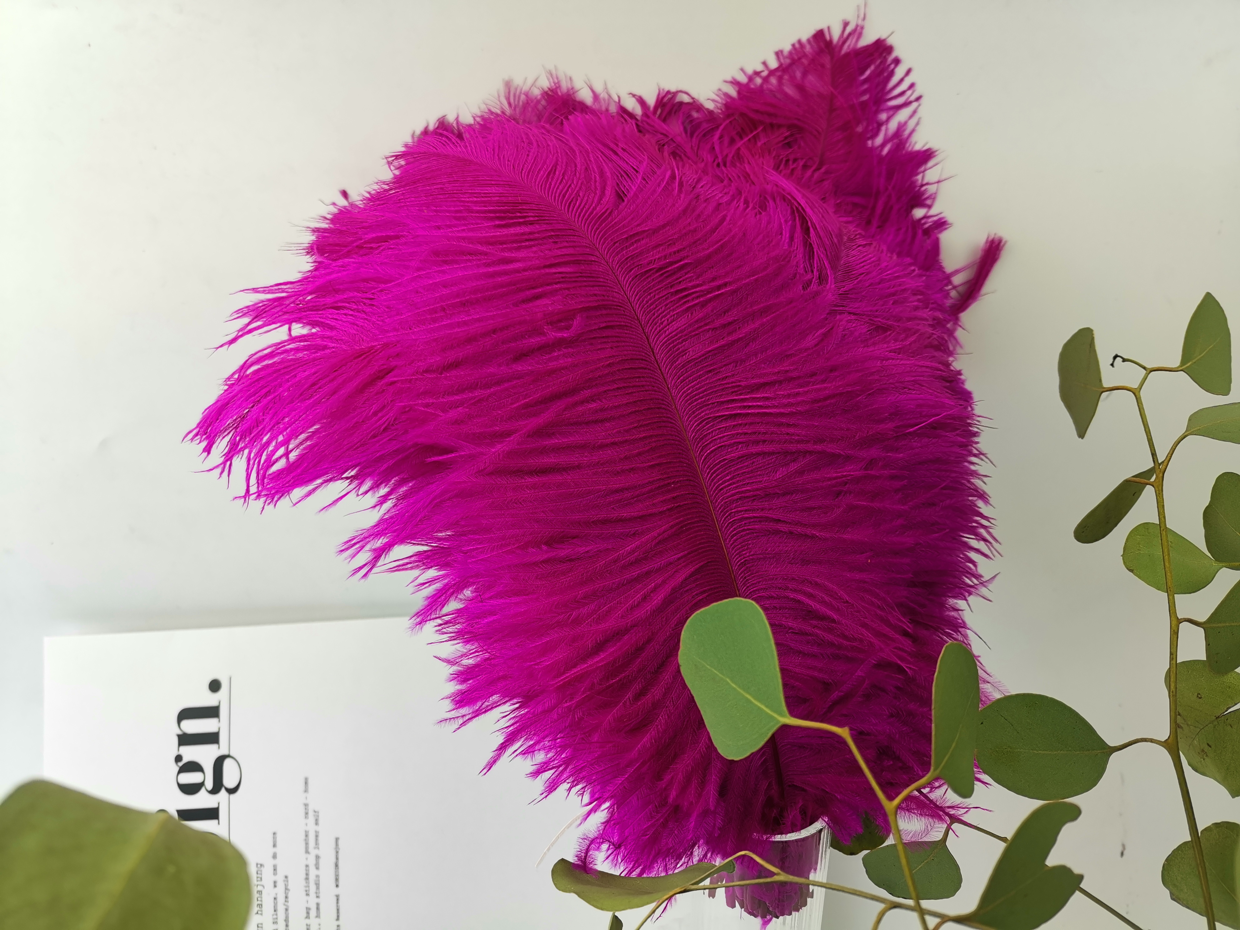 wholesale 15-60 Drab Ostrich Feathers for Centerpieces Party Wedding Home Decorations Dream Catchers Vases Crafts Christmas Tree