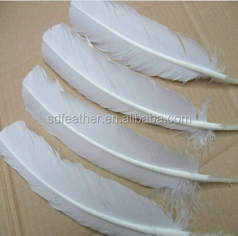 Wholesale Wing Covert Feather turkey quill feathers