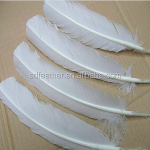 Wholesale Wing Covert Feather turkey quill feathers