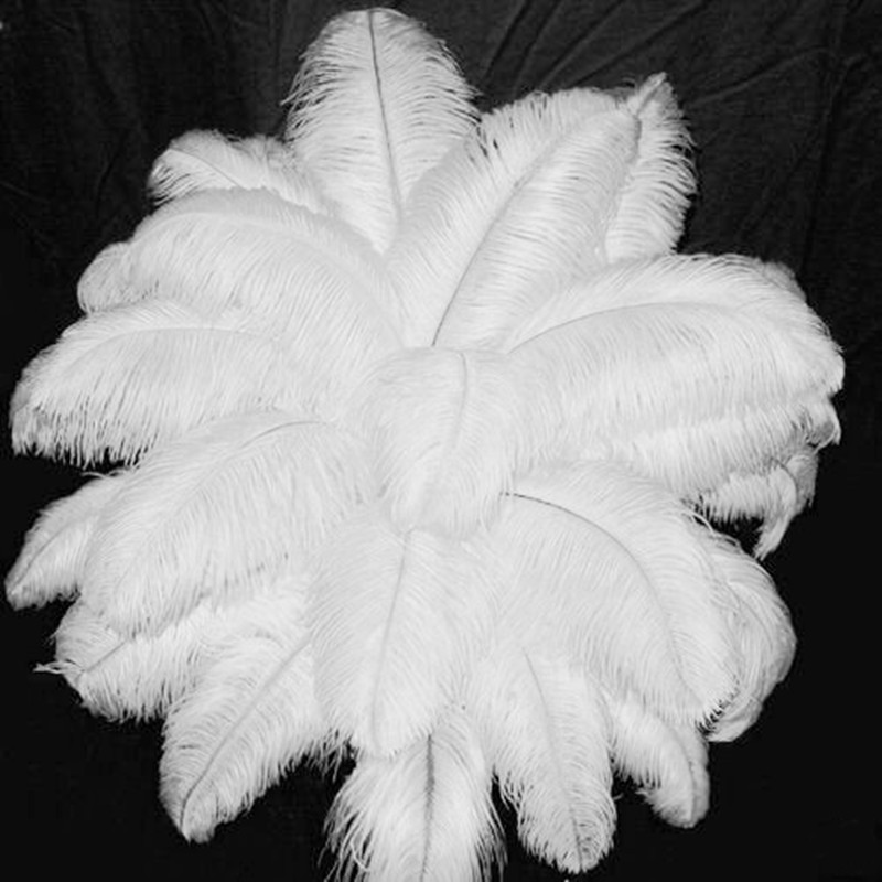 Wholesale Decorative White Ostrich Plumes Feathers for Wedding Centerpieces