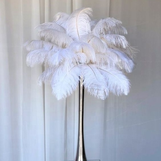 Feather Factory 40-75 cm Handcraft Different Sizes Ostrich Feathers High Quality Feathers For Centerpieces Wedding Decoration