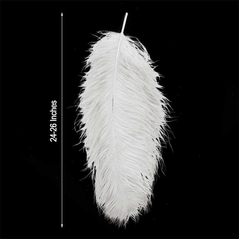 Wholesale Decorative White Ostrich Plumes Feathers for Wedding Centerpieces