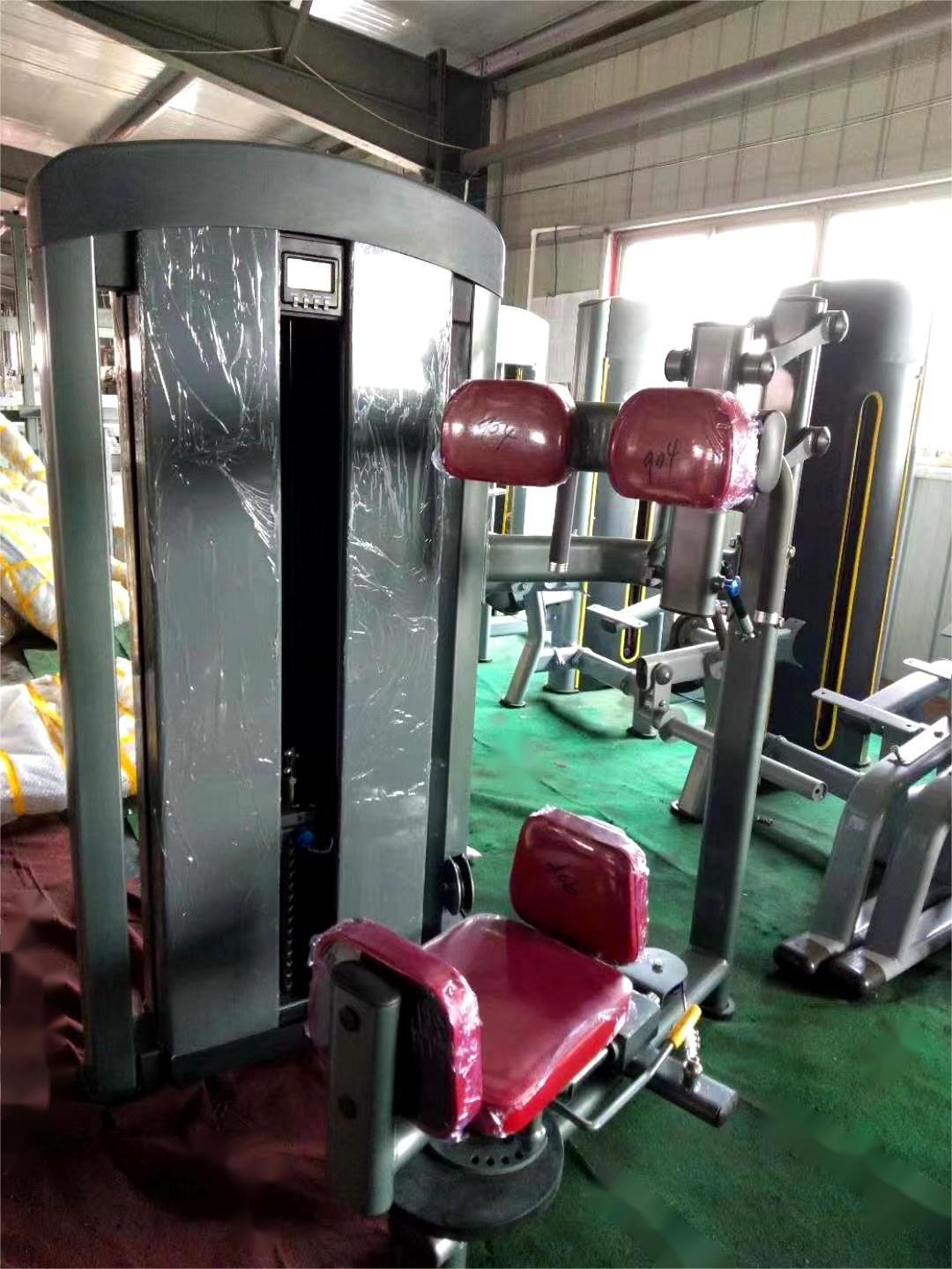 gym fitness sets commercial pin loaded machines indoor torso rotation machine