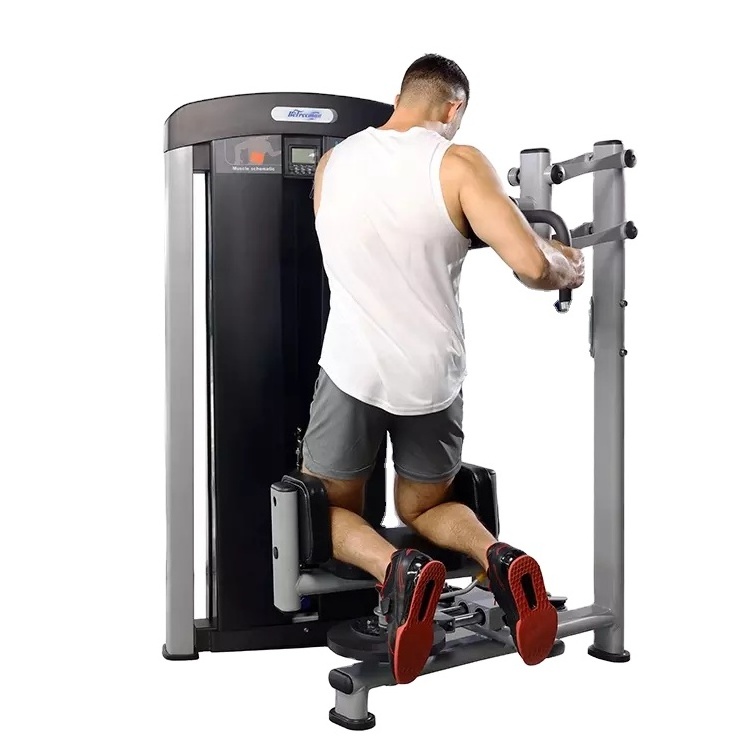 Wholesale Gym Fitness Equipment Rotary Torso Machine Torso Rotation Machine