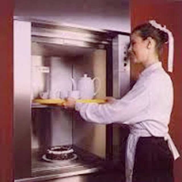 FUJIZY  hot selling high quality dumbwaiter for food