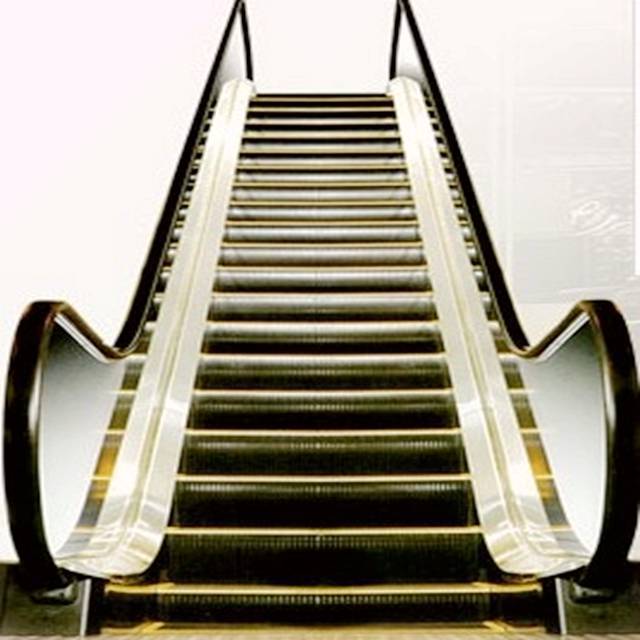 FUJIZY Escalator Price Economic Escalator Parts Outdoor Home Escalator with Standard VVVF