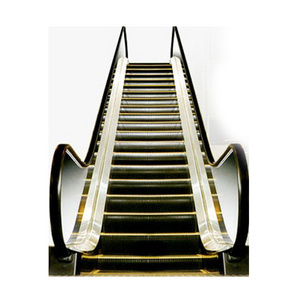 FUJIZY Escalator Price Economic Escalator Parts Outdoor Home Escalator with Standard VVVF