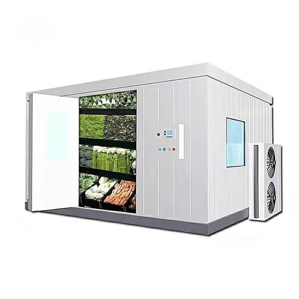 Cold Room, Frozen Meat, Seafood, Vegetable and Fruits Cold Storage Room for Sale