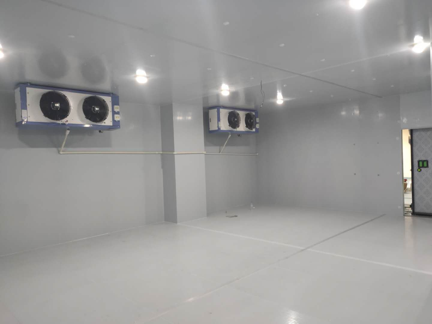 Cold Room, Frozen Meat, Seafood, Vegetable and Fruits Cold Storage Room for Sale