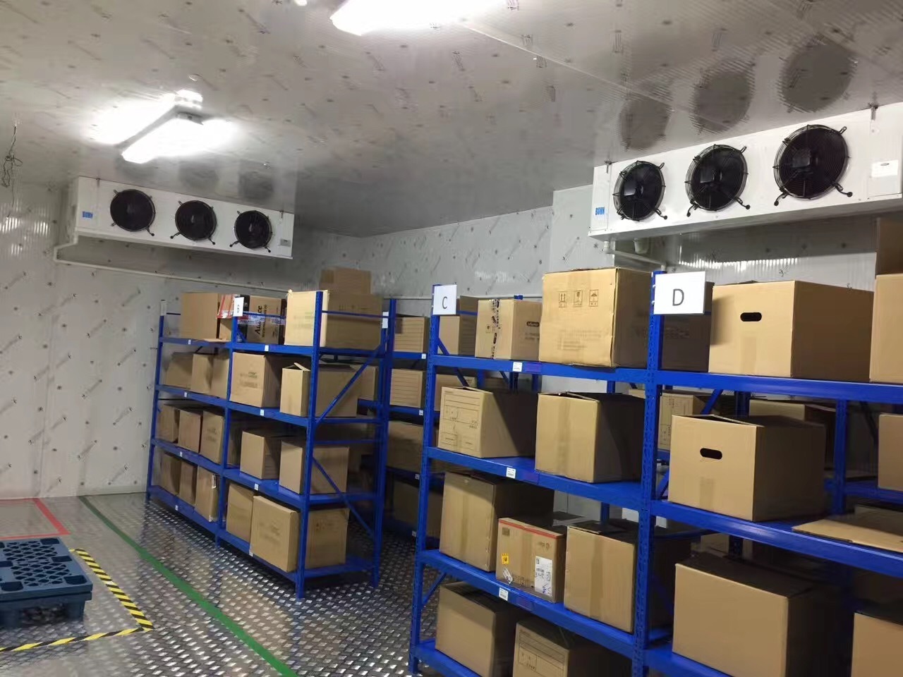 Cold Room, Frozen Meat, Seafood, Vegetable and Fruits Cold Storage Room for Sale