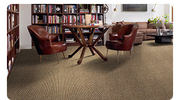 Polypropylene Broadloom Cut Pile Action Backing Carpet Roll Hotel Exhibition Room Tufting Wall To Wall Carpet