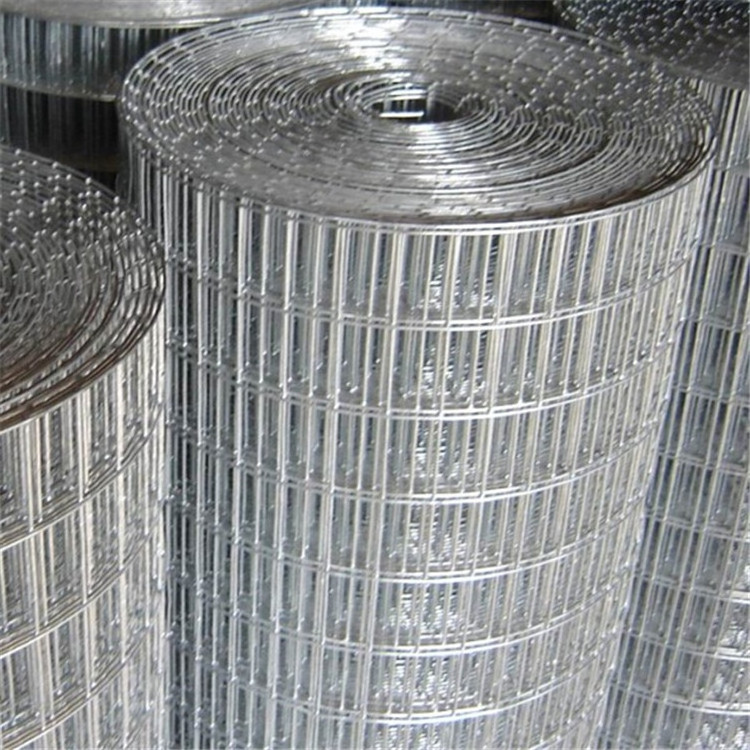 Galvanized Wire Mesh 1/2