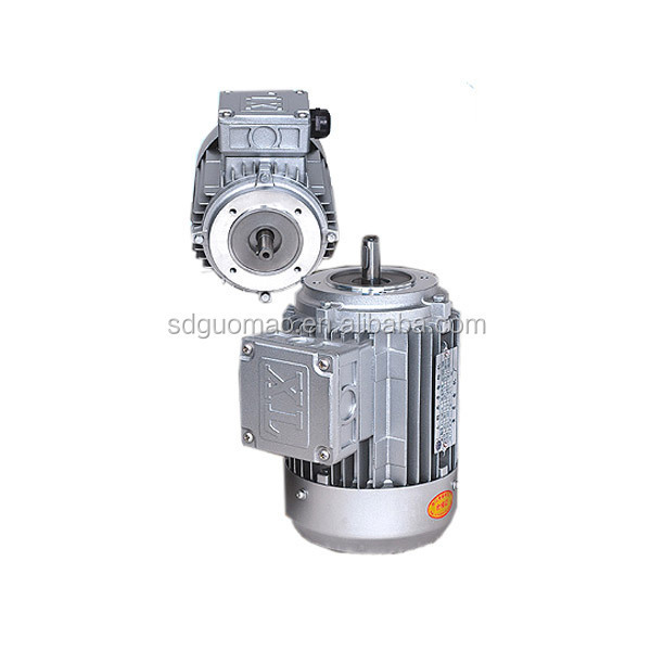 YL90L-2 single phase pump motors