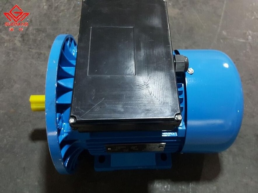 220V YL series single phase electric motor