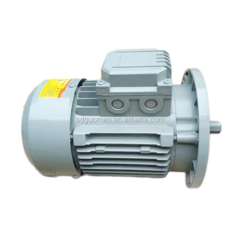 Hot Sale Electric Motor For Concrete Mixer (Made in China)