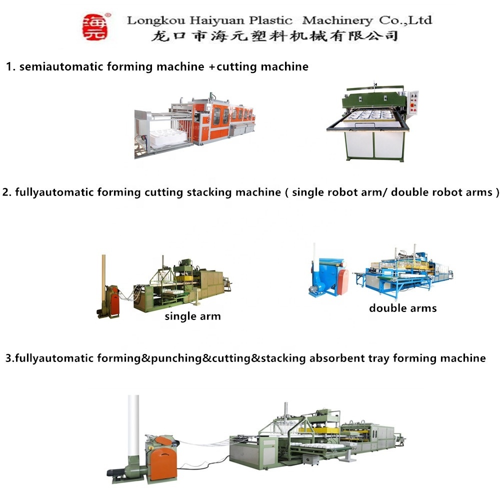 small production machine  for foam plastic dish container plate  tray food box from PS expanded , Ellie Whats 008613780912769