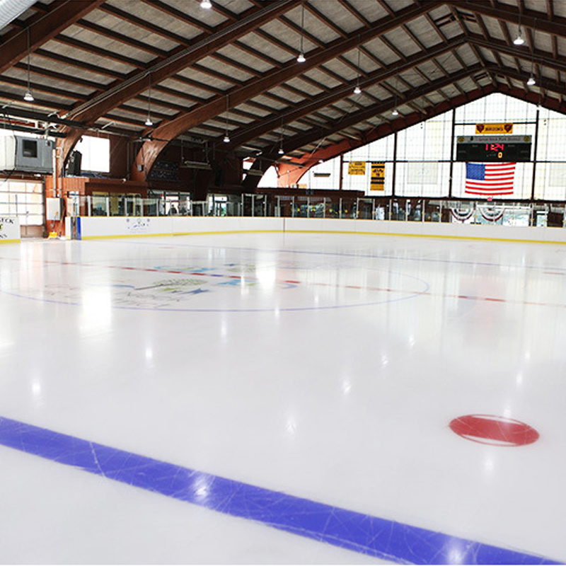 Can Removable Ice Hockey Dasher Board For Skating Show