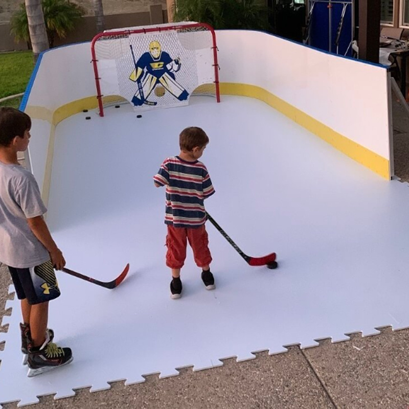 Can Removable Ice Hockey Dasher Board For Skating Show