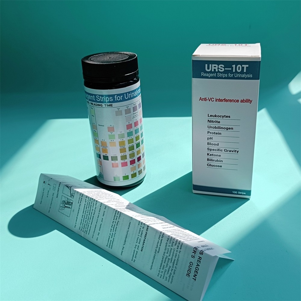 Urine reagent strips 10 parameters urine test strip