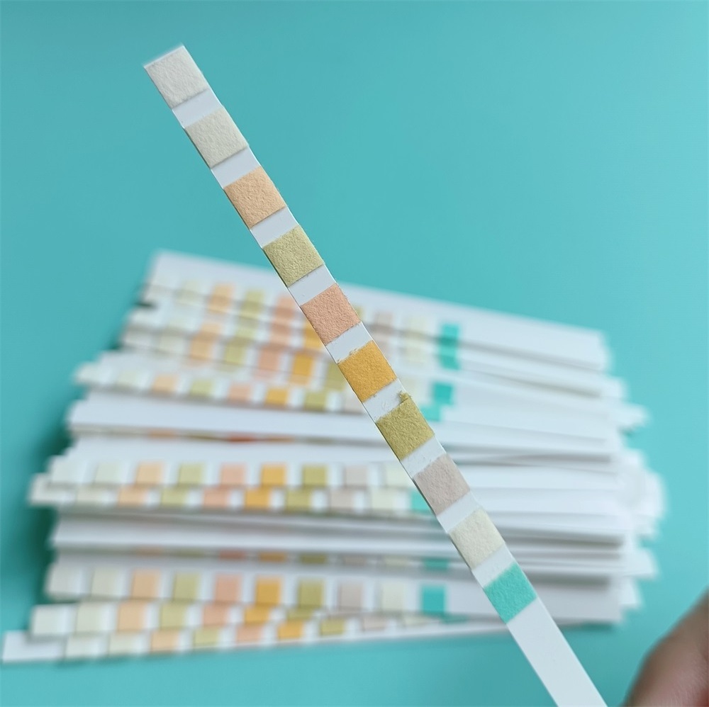 Urine reagent strips 10 parameters urine test strip