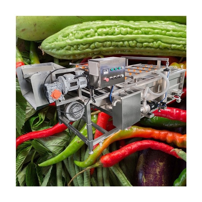 Green leaf snail pickle chili banana grape air bubble conveyor vegetables washing machine