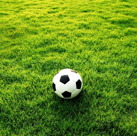 Soccer Turf Green Lawn Carpet Mini Football Field Grass Soccer Field Turf Artificial Grass For Football Soccer