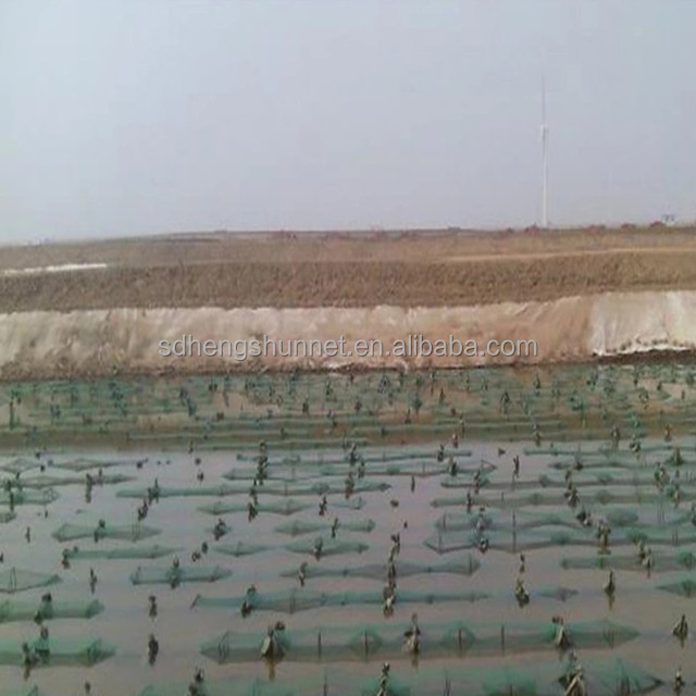 deep sea fishing net PE sea cucumber breeding nets