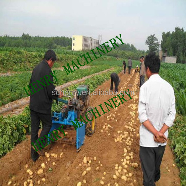 mini hand potato digger harvester walking tractor sweet potato harvester