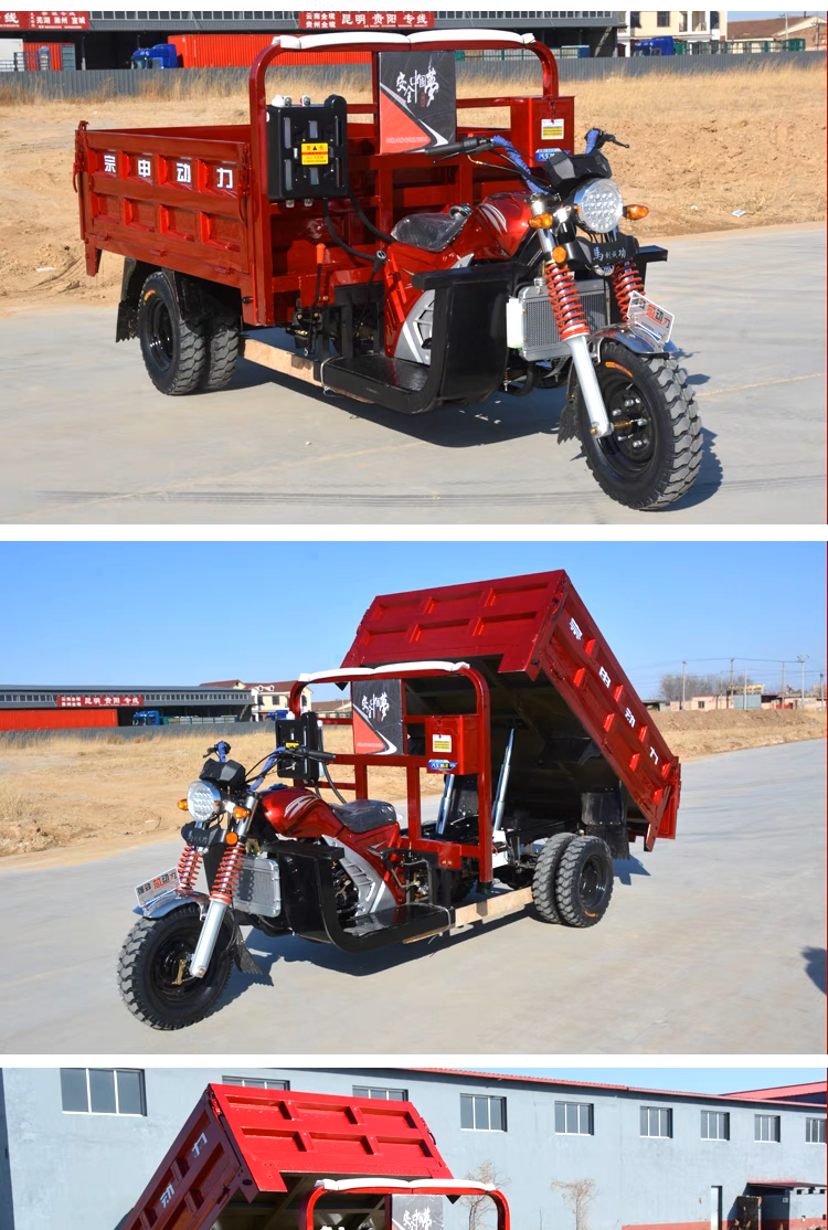 2023 China's Hot-selling Zongshen Power All-round Fuel Dump Tricycle 12V Customer Cargo Motorized Tricycle Motorcycle 125cc Open