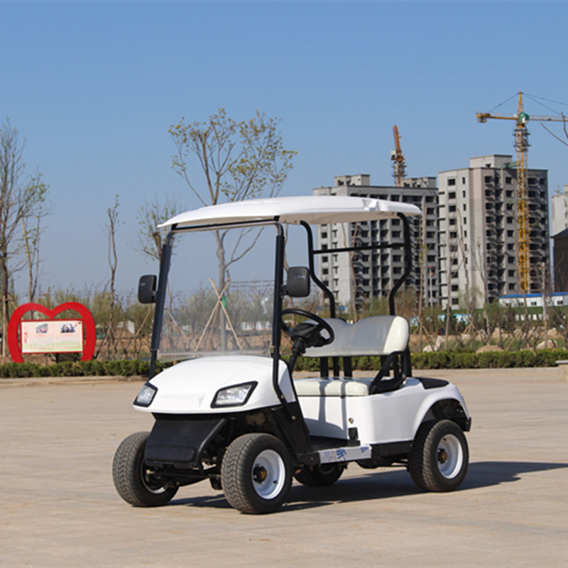 48v AC Motor Latest Design Electric Car HT-A2 Electric Golf Buggy Cart 2 Seats CE certificate golf cart