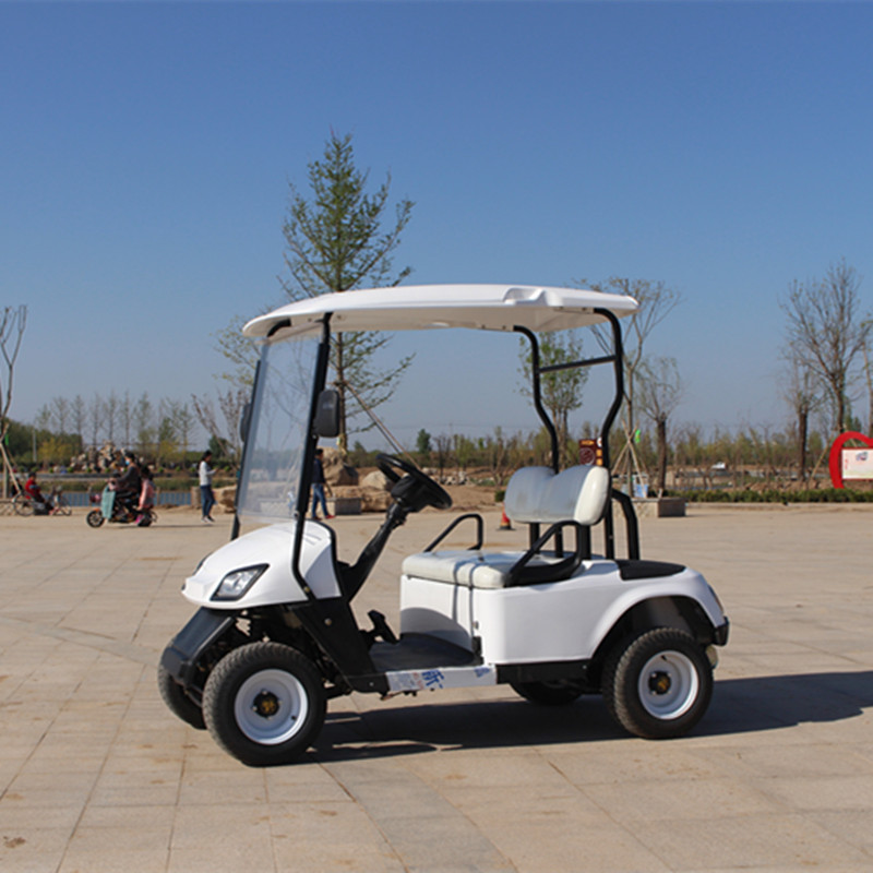 48v AC Motor Latest Design Electric Car HT-A2 Electric Golf Buggy Cart 2 Seats CE certificate golf cart